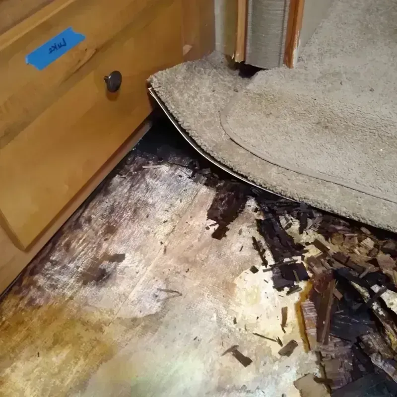 Wood Floor Water Damage in Gregory County, SD